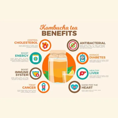 kombucha for gut health