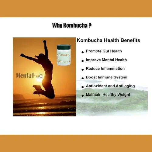 kombucha powder benefits