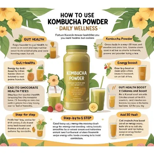kombucha daily wellness