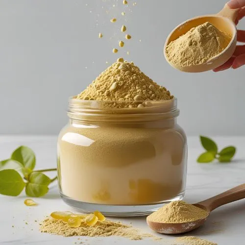 kombucha powder1 kombucha powder1