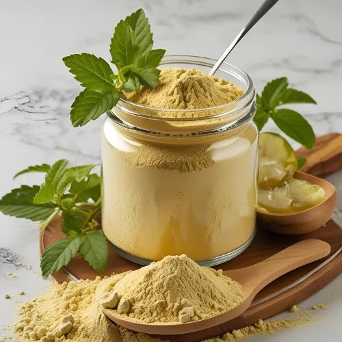 kombucha powder 1