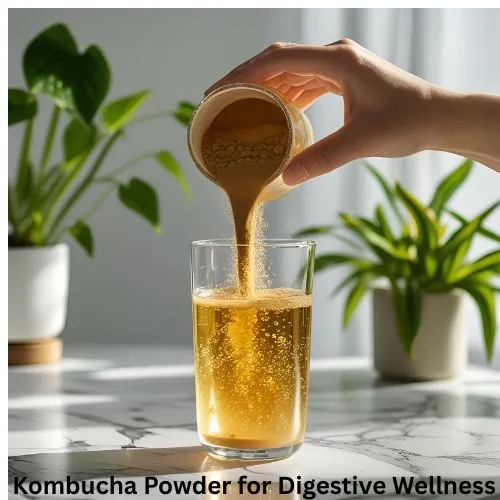 kombucha powder digestive wellness