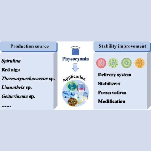 phycocyanin immune health phycocyanin immune health