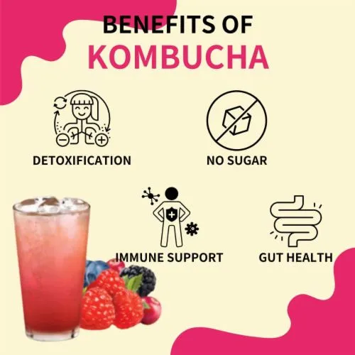 kombucha powder