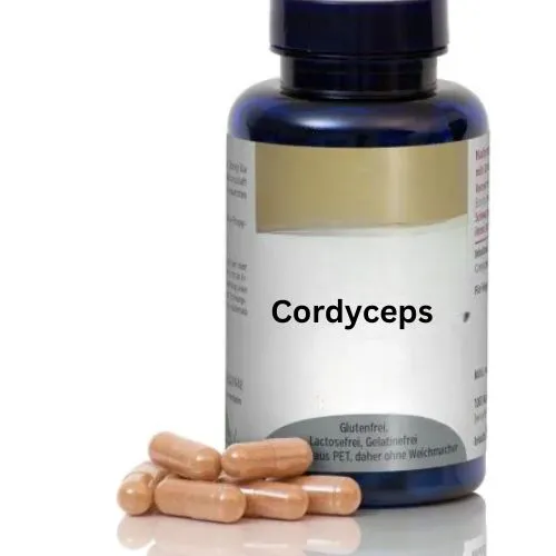 cordyceps militaris effect cordyceps militaris effect
