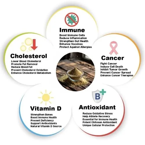 shiitake mushroom boost shiitake mushroom boost