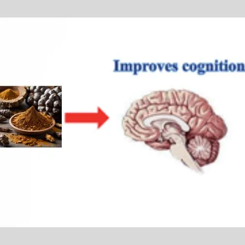 chaga in mind