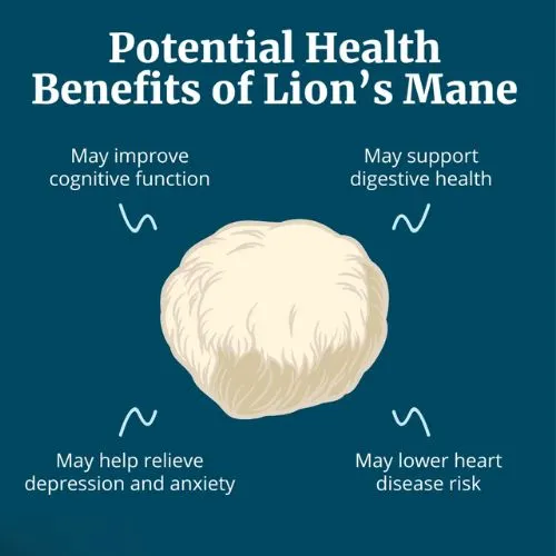 lions mane benefits