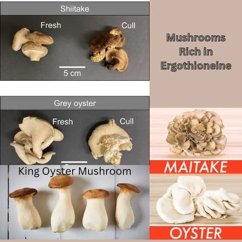 mushrooms