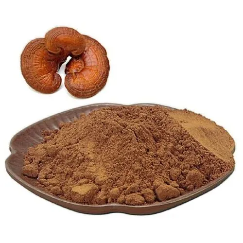 ganoderma lusidum extract ganoderma lusidum extract