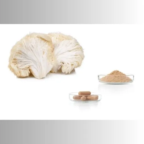 Lion's Mane Lion's Mane