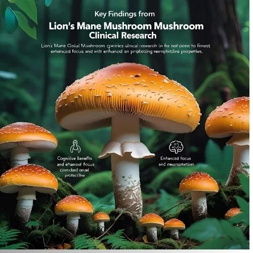 Lion's Mane clinical Lion's Mane clinical