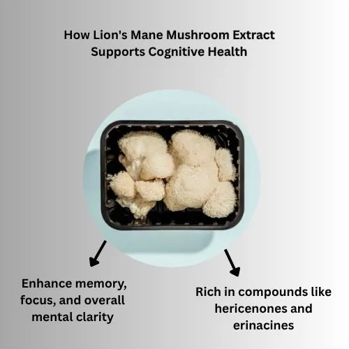 Lion's Mane cognitive Lion's Mane cognitive