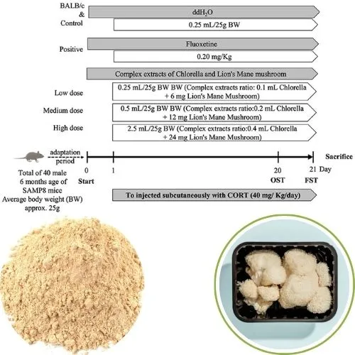 Lion’s Mane powder antidepressant