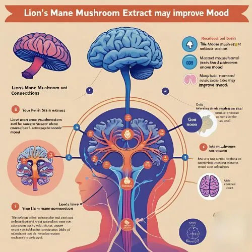 How Lion's Mane Mushroom Extract May Improve Mood?