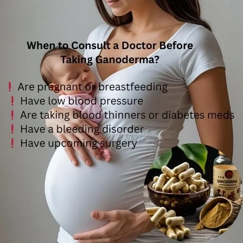 ganoderma3 ganoderma3