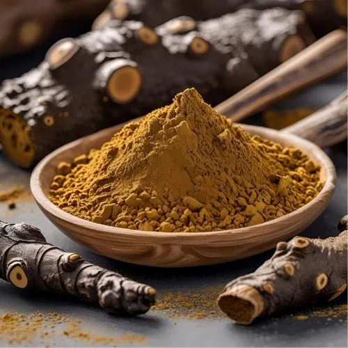 chaga powder