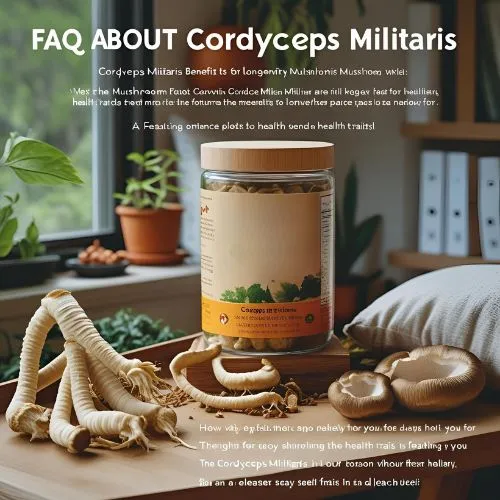 cordyceps6