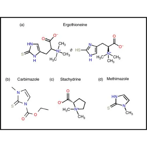 Ergothioneine 2025