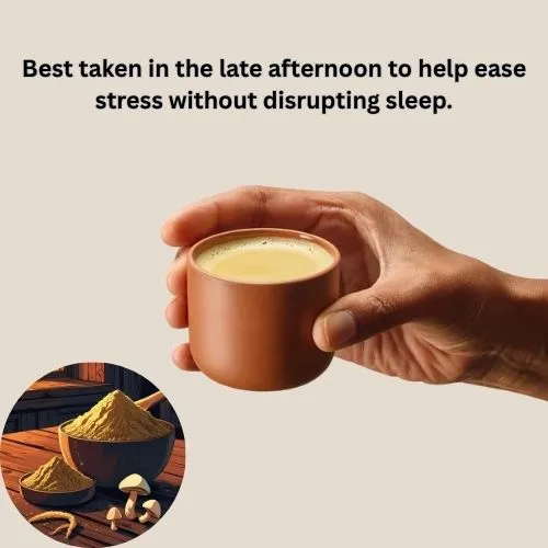 cordyceps powder best time to take