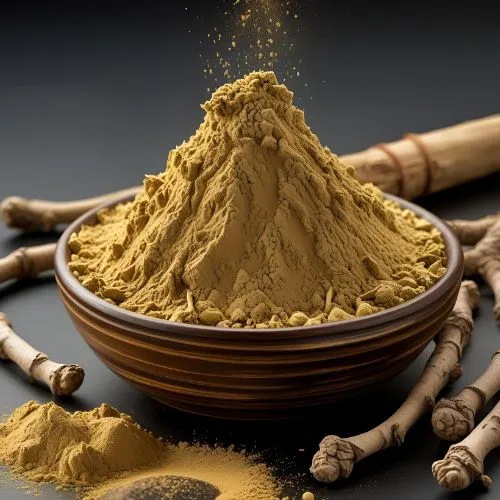 lions mane powder 2