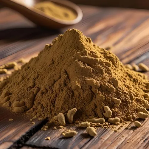 ganoderma1 ganoderma1