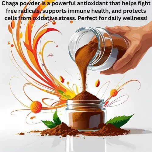 chaga powder antioxidant chaga powder antioxidant