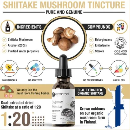 shiitake powder 2