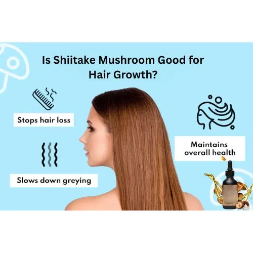 shiitake powder for hair shiitake powder for hair