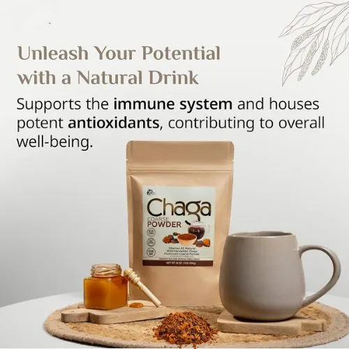 chaga extract for immune