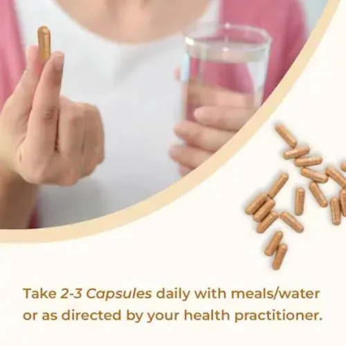 cordyceps daily