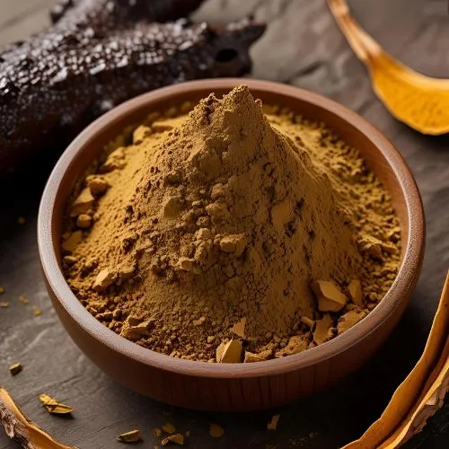 Chaga Extract powder