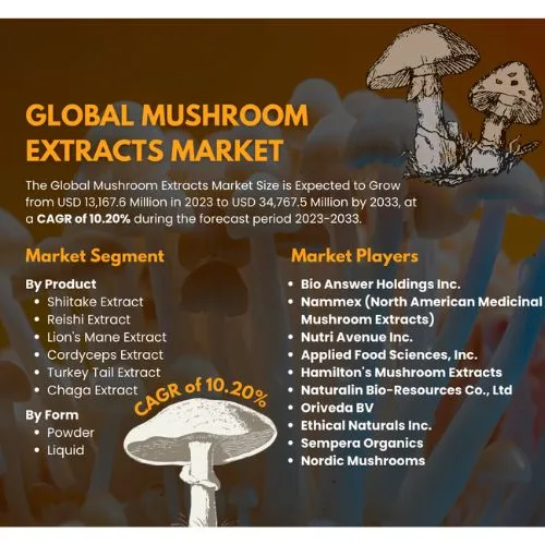 chaga trends chaga trends