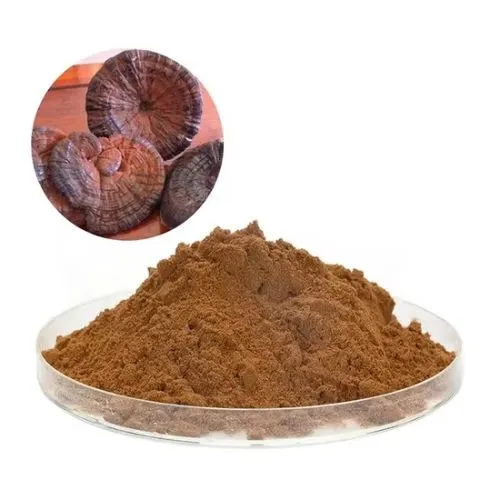 ganoderma powder ganoderma powder