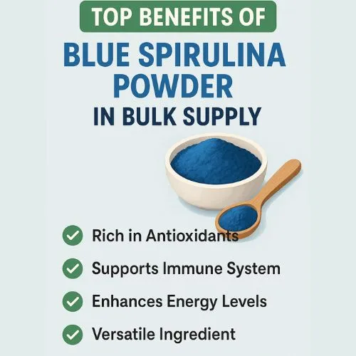 Top Benefits of Blue Spirulina Powder in Bulk Supply Top Benefits of Blue Spirulina Powder in Bulk Supply