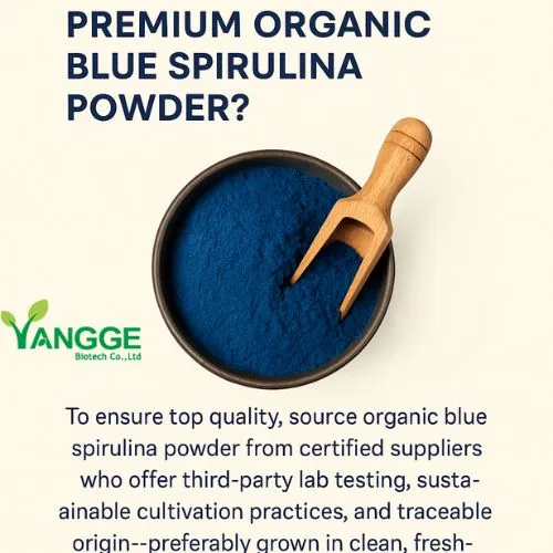 organic blue spirulina organic blue spirulina