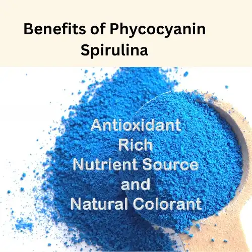 Phycocyanin benefits Phycocyanin benefits