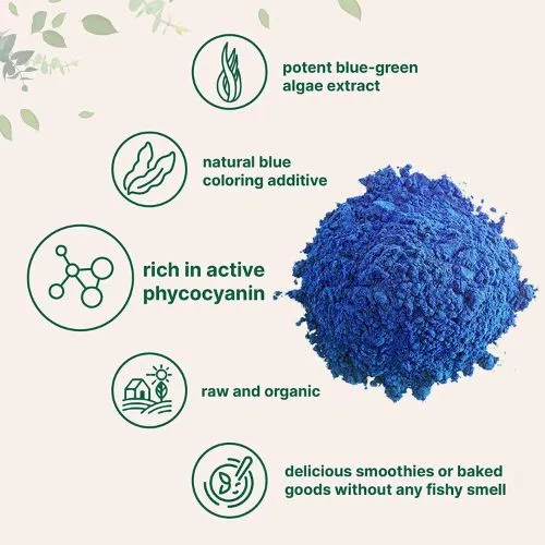Why Immunity Brands Use Phycocyanin Spirulina? Why Immunity Brands Use Phycocyanin Spirulina?