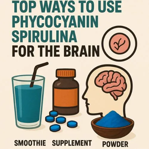 spirulina for brain 1