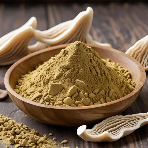 shiitake mushroom powder shiitake mushroom powder