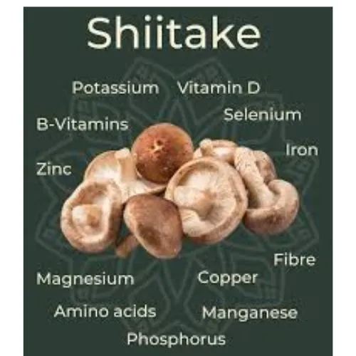 shiitake extract benefits shiitake extract benefits