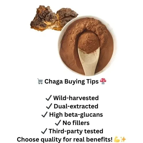 Chaga Extractbuying tips