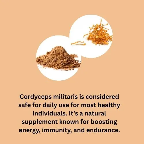 cordyceps powder safe