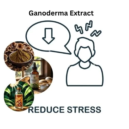 Ganoderma lucidum daily stress