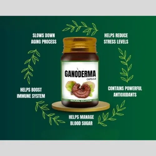 ganoderma booost