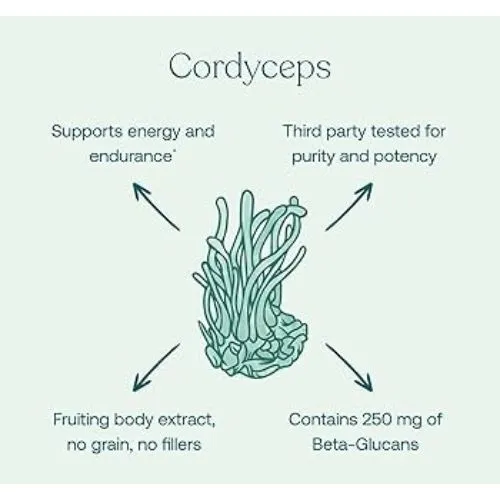 cordyceps support endurance cordyceps support endurance