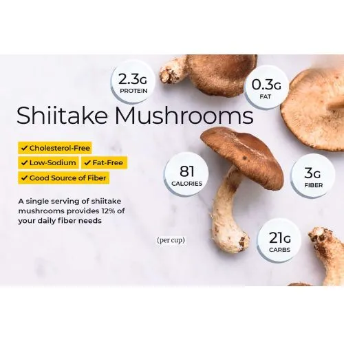 shiitake daily wellness