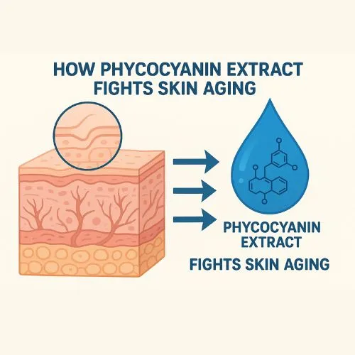 _phycocyanin fights skin _phycocyanin fights skin