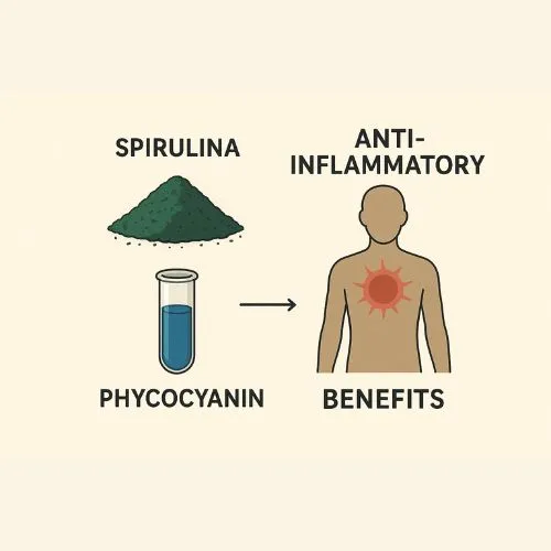 phycocyanin anti inflammatory phycocyanin anti inflammatory