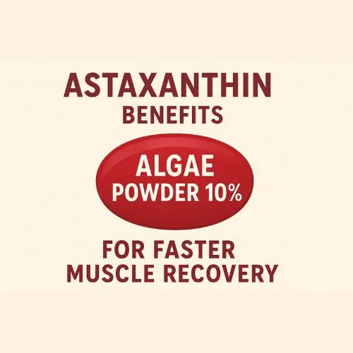 astaxanthin powder muscle recovery